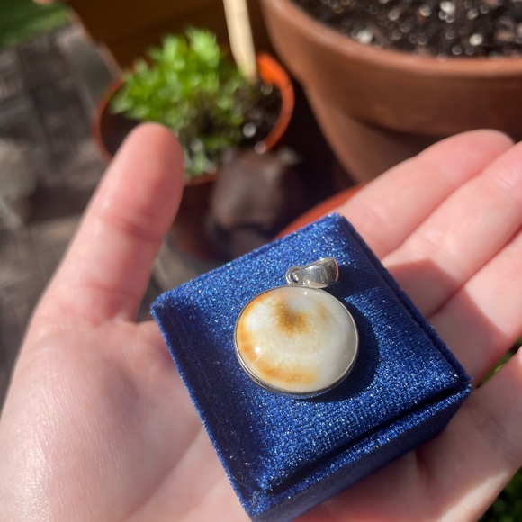 Shell Charm Pendant - Picture 4 of 5